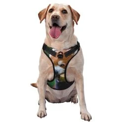 Pet Dog Vest Harness Set Red Panda Eat Food Dog Harness For Small Medium And Large Dogs