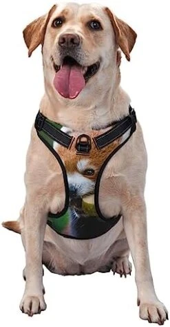 Pet Dog Vest Harness Set Red Panda Eat Food Dog Harness For Small Medium And Large Dogs -Zoomie Shop 41SljZ2eCOL. AC 3