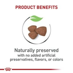 Royal Canin Size Health Nutrition Small Puppy Dry Dog Food, 2.5 Lb Bag -Zoomie Shop 41UZjz2BzXL