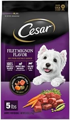 CESAR Small Breed Dry Dog Food Filet Mignon Flavor With Spring Vegetables Garnish Dog Kibble, 12 Lb. Bag -Zoomie Shop 41Uk1EWnGlL. AC