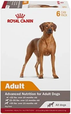 Royal Canin Canine Health Nutrition Adult In Gel Canned Dog Food, 13.5 Oz (Pack Of 12) -Zoomie Shop 41UvWGsHu0L. AC