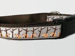 Autumn Dog Collar, Caninedesign, Fall, 1 Inch Wide, Adjustable, Nylon, Medium And Large (Fox, Large 15-22") -Zoomie Shop 41V1A HGe5L. AC