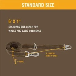 Browning Classic Dog Leash, Safety Orange, 6ft X 1in -Zoomie Shop 41W2VXdIuiL