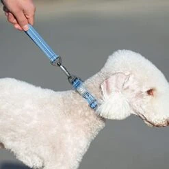 Pawaii Dog Collar And Leash Set With QR Code Pet ID Tag, Personalized Dog Collar With Reflective Dog Leash, Dog Collar And Leash For Small Medium Big Dogs Adjustable Size -Zoomie Shop 41WI9W7diGL