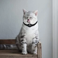 UKCOCO Pet Collar 2 Pcs Basic Cover Protector Airtags Collar Silicone Exquisite Tracer Adjustable Case For Anti-Loss With Cat Compatible Loss Pets Buckle Lost Dog Holder Anti Silicone Case