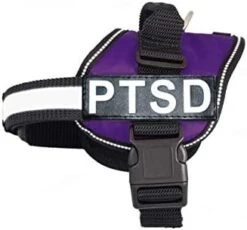 Doggie Stylz Service Dog Harness Vest Comes With 2 Reflective PTSD Removable Patches. Please Measure Dog Before Ordering… -Zoomie Shop 41WZk2N5WuL. AC