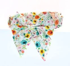 Dog Collar With Bow, Hotdog Dog Bowtie, Bowtie Dog Collar Adjustable Dog Collars For Small Medium Large Dogs And Cats 20 Dog Collar With Bow, Hotdog Dog Bowtie, Bowtie Dog Collar Adjustable Dog Collars For Small Medium Large Dogs And Cats -Zoomie Shop 41WkKNu0evL. AC