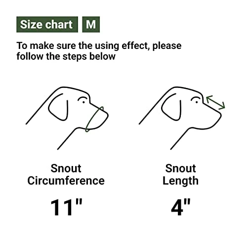 CollarDirect Dog Muzzle German Shepherd Dalmatian Doberman Setter Leather Basket Medium Large Breeds Black Brown (M, Chestnut Brown) 2 CollarDirect Dog Muzzle German Shepherd Dalmatian Doberman Setter Leather Basket Medium Large Breeds Black Brown (M, Chestnut Brown) - Image 2