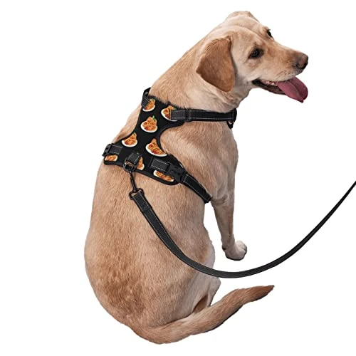 Dog Harness Leash Set Durable Oxford Breathable Reflective Puppy Harness Vest Spaghetti Italian Food For Walking Training Running, No Pull No Choke Pet Dog Harness 2 Dog Harness Leash Set Durable Oxford Breathable Reflective Puppy Harness Vest Spaghetti Italian Food For Walking Training Running, No Pull No Choke Pet Dog Harness - Image 2