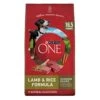 Purina ONE Dry Dog Food Lamb And Rice Formula - 16.5 Lb. Bag