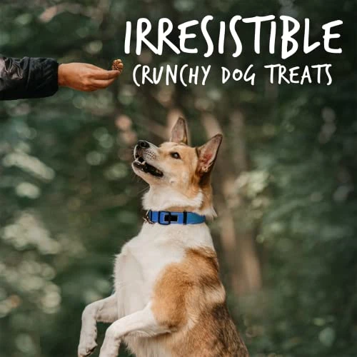 Fruitables Biggies Dog Biscuits – Crunchy Dog Biscuits Made With Pumpkin – Healthy Dog Treats Packed With – Free Of Wheat, Corn And Soy – Pumpkin & Blueberry – 16 Ounces 4 Fruitables Biggies Dog Biscuits – Crunchy Dog Biscuits Made With Pumpkin – Healthy Dog Treats Packed With – Free Of Wheat, Corn And Soy – Pumpkin & Blueberry – 16 Ounces - Image 4