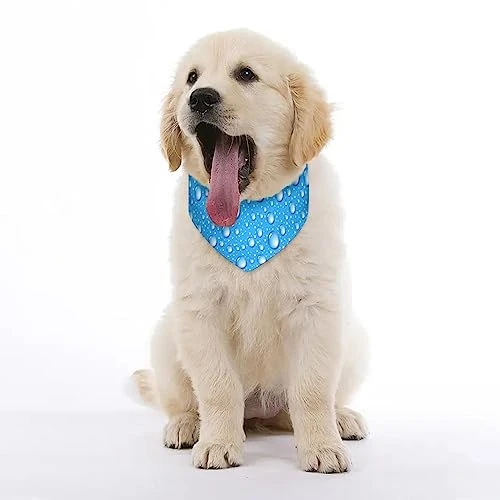 GENERIC Water Drop Blue Pattern Pet Bandana Collar - Scarf Collar - Art Dog Bandana Minimal Head Cicumference 3 GENERIC Water Drop Blue Pattern Pet Bandana Collar - Scarf Collar - Art Dog Bandana Minimal Head Cicumference - Image 3