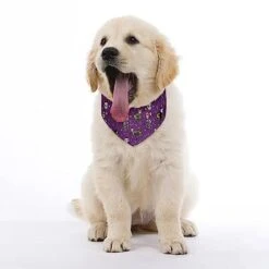 GENERIC Sugar Skull Calavera Black Cats Mexican Style Pet Bandana Collar - Scarf Collar - Art Dog Bandana Minimal Head Cicumference 10 GENERIC Sugar Skull Calavera Black Cats Mexican Style Pet Bandana Collar - Scarf Collar - Art Dog Bandana Minimal Head Cicumference -Zoomie Shop 41Yo5KpDaRL