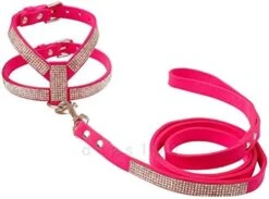DOILNXH Suede Rhinestone Dog Harness And Leash Set Soft Diamante Pet Harness And Lead Step In For Small Medium Dogs Chihuahua Yorkshire Blue M -Zoomie Shop 41Yw6EjdoOL. AC 2