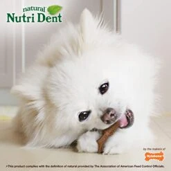 Nylabone Nutri Dent Filet Mignon Flavored Dog Dental Chews Mini - Up To 10 Lbs. 160 Count -Zoomie Shop 41Z6xOpdxiL