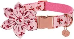 DOGWONG Summer Dog Collar With Flower,Avocado Dog Collar Comfortable Durable Fruit Dog Collar For Small Medium Large Dog 22 DOGWONG Summer Dog Collar With Flower,Avocado Dog Collar Comfortable Durable Fruit Dog Collar For Small Medium Large Dog -Zoomie Shop 41Z7SnnW GL. AC