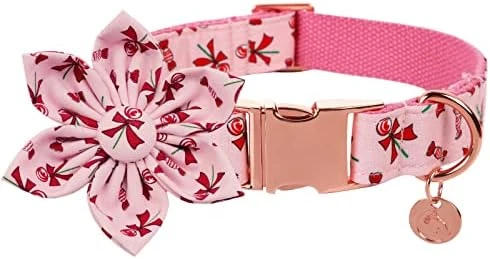 DOGWONG Summer Dog Collar With Flower,Avocado Dog Collar Comfortable Durable Fruit Dog Collar For Small Medium Large Dog 8 DOGWONG Summer Dog Collar With Flower,Avocado Dog Collar Comfortable Durable Fruit Dog Collar For Small Medium Large Dog - Image 8