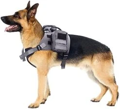 Service Dog Vest Breathable Service Dog Harness Adjustable Pet Vest With Handle For Outdoor Training Walking (Grey, L) 21 Service Dog Vest Breathable Service Dog Harness Adjustable Pet Vest With Handle For Outdoor Training Walking (Grey, L) -Zoomie Shop 41ZHI3tPPyL. AC 2