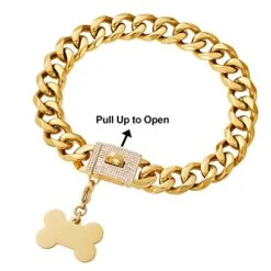 Girl Boy Cute Gold Chain Metal Dog Collar, Steel Heavy Duty Strong Dog Necklace With Magnet Buckle -Zoomie Shop 41ZQReCTYJL