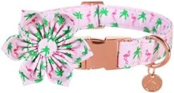 DOGWONG Summer Dog Collar With Flower,Avocado Dog Collar Comfortable Durable Fruit Dog Collar For Small Medium Large Dog 23 DOGWONG Summer Dog Collar With Flower,Avocado Dog Collar Comfortable Durable Fruit Dog Collar For Small Medium Large Dog -Zoomie Shop 41ZXzpjpN9L. AC
