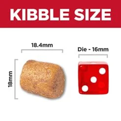 Hill's Science Diet Adult Oral Care Small & Mini Chicken Recipe Dry Dog Food, 4 Lb. Bag -Zoomie Shop 41ZbB2TelkL