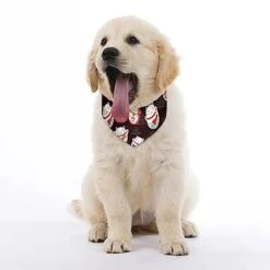 GENERIC Cats Maneki-Neko, Lucky Charms Pet Bandana Collar - Scarf Collar - Art Dog Bandana Minimal Head Cicumference -Zoomie Shop 41Zr9VSV5TL