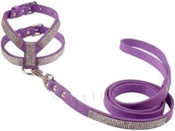 DOILNXH Suede Rhinestone Dog Harness And Leash Set Soft Diamante Pet Harness And Lead Step In For Small Medium Dogs Chihuahua Yorkshire Blue M -Zoomie Shop 41aO4byQy9L. AC 2