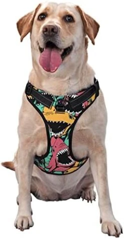 Dog Harness Leash Set Durable Oxford Breathable Reflective Puppy Harness Vest Spaghetti Italian Food For Walking Training Running, No Pull No Choke Pet Dog Harness 21 Dog Harness Leash Set Durable Oxford Breathable Reflective Puppy Harness Vest Spaghetti Italian Food For Walking Training Running, No Pull No Choke Pet Dog Harness -Zoomie Shop 41afchHp5NL. AC