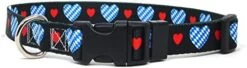 Dog Collar | I Love Bavaria | Hearts | Great For National Holidays, Special Events, Festivals, Parades | Made In USA | XSmall Small Medium Large XLarge -Zoomie Shop 41alnANeBjL. AC 1