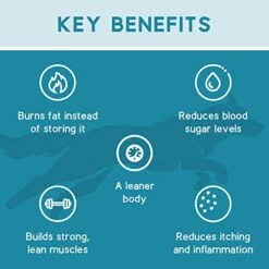 Ketona Chicken Recipe Adult Dry Dog Food, Natural, Low Carb (only 5%), High Protein (46%), Grain-Free, The Nutrition Of A Raw Diet With The Cost And Convenience Of A Kibble; 4.2lb 9 Ketona Chicken Recipe Adult Dry Dog Food, Natural, Low Carb (only 5%), High Protein (46%), Grain-Free, The Nutrition Of A Raw Diet With The Cost And Convenience Of A Kibble; 4.2lb -Zoomie Shop 41bBSWXV4UL