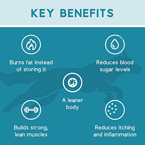 Ketona Chicken Recipe Adult Dry Dog Food, Natural, Low Carb (only 5%), High Protein (46%), Grain-Free, The Nutrition Of A Raw Diet With The Cost And Convenience Of A Kibble; 4.2lb 3 Ketona Chicken Recipe Adult Dry Dog Food, Natural, Low Carb (only 5%), High Protein (46%), Grain-Free, The Nutrition Of A Raw Diet With The Cost And Convenience Of A Kibble; 4.2lb - Image 3