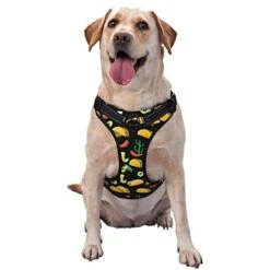 Dog Harness Mexican Seamless Food Pet Adjustable Outdoor Vest Harnesses Large