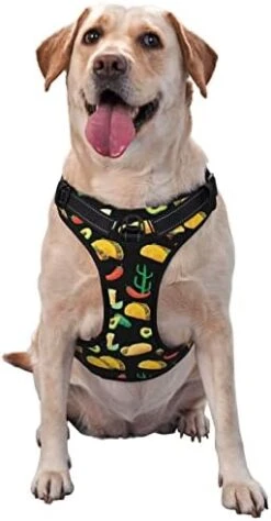 Dog Harness Mexican Seamless Food Pet Adjustable Outdoor Vest Harnesses Large -Zoomie Shop 41c1gPA6sGL. AC