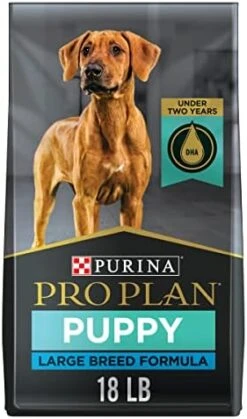 Purina Pro Plan Large Breed Dry Puppy Food, Chicken And Rice Formula - 34 Lb. Bag -Zoomie Shop 41cIMTcC4vL. AC