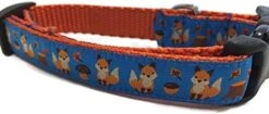 Autumn Dog Collar, Caninedesign, Fall, 1 Inch Wide, Adjustable, Nylon, Medium And Large (Fox, Large 15-22") -Zoomie Shop 41cMlMfTGBL. AC