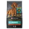 Purina Pro Plan Sensitive Skin And Stomach Puppy Food With Probiotics, Salmon & Rice Formula - 4 Lb. Bag