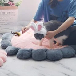 SONGBIRDTH Puppy Cat Round Flower Shape Cushion Plush Floor Mat Dog Carpet Pad Pet Supplies,Breathable Cotton Blend,Removable Easy To Clean Pink M 12 SONGBIRDTH Puppy Cat Round Flower Shape Cushion Plush Floor Mat Dog Carpet Pad Pet Supplies,Breathable Cotton Blend,Removable Easy To Clean Pink M -Zoomie Shop 41cx2R5aOeL