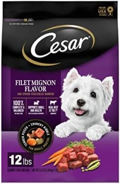 CESAR Small Breed Dry Dog Food Filet Mignon Flavor With Spring Vegetables Garnish Dog Kibble, 12 Lb. Bag -Zoomie Shop 41dSHGjr L. AC