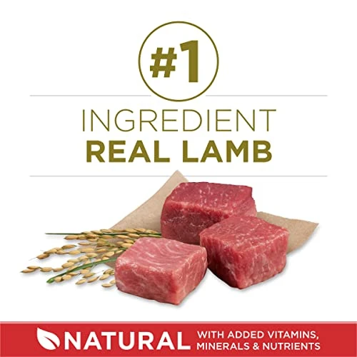 Purina ONE Dry Dog Food Lamb And Rice Formula - (4) 4 Lb. Bags 2 Purina ONE Dry Dog Food Lamb And Rice Formula - (4) 4 Lb. Bags - Image 2