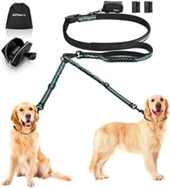 PHILORN Hands-Free Double Dog Leash 110lbs Comfortable Shock Absorbing Reflective Bungee For 2 Dogs Walking Training 66-84 Inch Adjustable No Tangle Dual Dog Leash With Pouch 2 Handles (Black) -Zoomie Shop 41dnIfyjSL. AC
