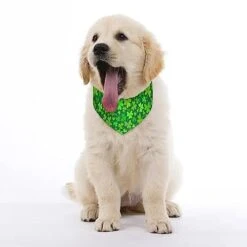 GENERIC Blue Shamrocks Print Pet Bandana Collar - Scarf Collar - Art Dog Bandana Minimal Head Cicumference 9 GENERIC Blue Shamrocks Print Pet Bandana Collar - Scarf Collar - Art Dog Bandana Minimal Head Cicumference -Zoomie Shop 41dquwljcUL