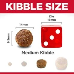 Hill's Science Diet Dry Dog Food, Adult, Chicken & Barley Recipe, 15 Lb. Bag -Zoomie Shop 41eEPEgNbDL