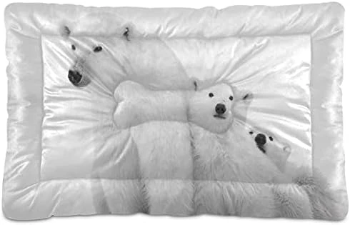 Poeticcity Yellow Mexican Food Tortilla, Hamburger, Burrito, Tequila Dog Cat Bed Mat Soft Crate Pad Mattress Cushion For Small Medium Pets, Anti Slip Sleeping Kennel Mat Washable & Dry 36x24 Inch 11 Poeticcity Yellow Mexican Food Tortilla, Hamburger, Burrito, Tequila Dog Cat Bed Mat Soft Crate Pad Mattress Cushion For Small Medium Pets, Anti Slip Sleeping Kennel Mat Washable & Dry 36x24 Inch - Image 11