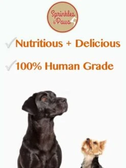GENERIC Sprinkles & Paws Beef Bone Broth And Liver Sprinkles | Dog Food Topper With Beef Liver And Beef Bone Broth In Healthy Powder Form | All Breeds -Zoomie Shop 41eq6XLflcL