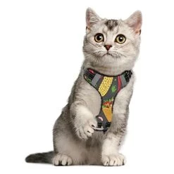 No Pull Dog Harness For Small Dogs Adjustable Pet Vest Harness With Leash Reflective Front Clip Vest With Handle Easy Control For Small Medium Large Dogs Cats Outdoor Walking Mexican Food Pattern Burr -Zoomie Shop 41f0FBSmy1L