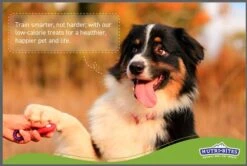 Nutri Bites (Value Pack) Beef Liver Pets Treats Freeze Dried Premium Quality Single Ingredients High Protein 17.6 OZ For Dogs And Cats -Zoomie Shop 41fPtEH2UsL