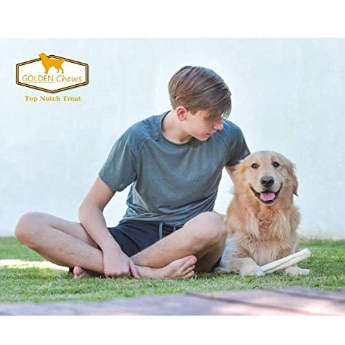 GOLDEN Chews Retriever Roll 7-8 Inches Extra Thick (20 Pack) 5 GOLDEN Chews Retriever Roll 7-8 Inches Extra Thick (20 Pack) - Image 5