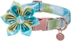 DOGWONG Summer Dog Collar With Flower,Avocado Dog Collar Comfortable Durable Fruit Dog Collar For Small Medium Large Dog 26 DOGWONG Summer Dog Collar With Flower,Avocado Dog Collar Comfortable Durable Fruit Dog Collar For Small Medium Large Dog -Zoomie Shop 41fdTv4EzsL. AC