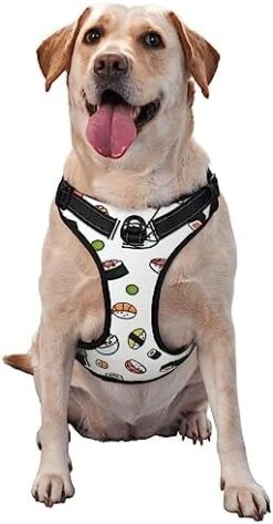 Food Illustration No Pull Dog Harness Adjustable Puppy Harness Reflective Dog Vest Harness Wear-Resistant Oxford Cloth Dog Harness With Leash For Small Medium Large Dogs -Zoomie Shop 41fk9V3a6L. AC