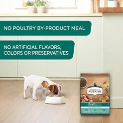 Rachael Ray Nutrish Bright Puppy Premium Natural Dry Dog Food, Real Chicken & Brown Rice Recipe, 14 Pound Bag (Packaging May Vary) -Zoomie Shop 41fy5YRmlBS